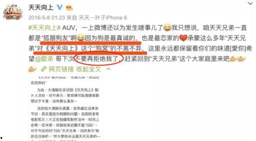 娱乐圈爆料怎么看的到呢  第1张