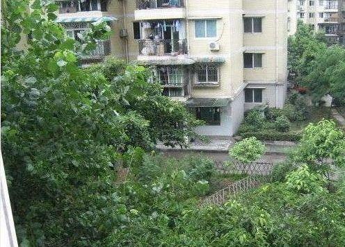 重庆冉家坝爆料事件视频  第3张