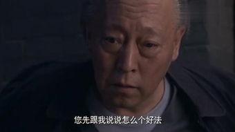 破绽在线观看,揭秘剧情漏洞，探寻真相之谜  第2张